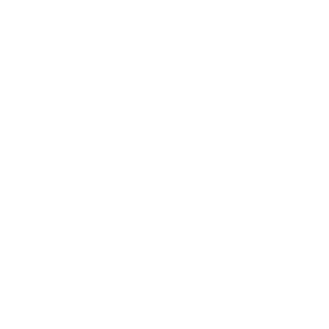 Fond Footer Segefi